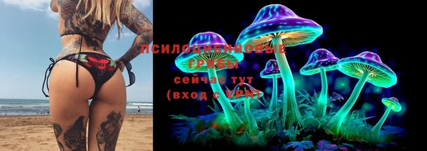 дживик Алзамай