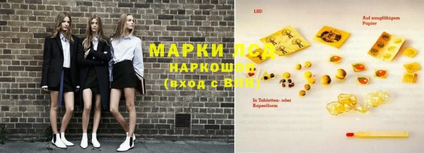 крисы Покачи